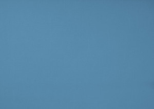 Dickson_Orchestra_8204-Bleuet-680