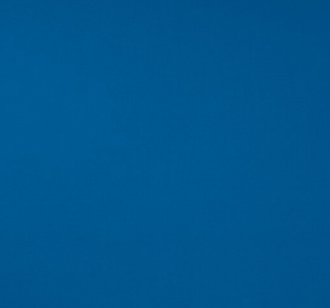 Dickson_Orchestra_0017-Bleu-680