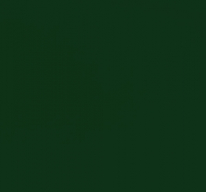 Dickson_Orchestra_0853-Olive-680