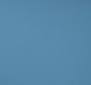 Dickson_Orchestra_8204-Bleuet-680