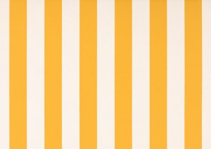 Dickson_Orchestra_8553-Blanc-jaune