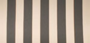 Docril_407