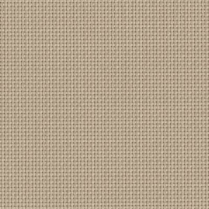 Horizon_95_Paperbark